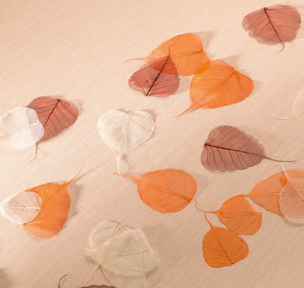 картинка Обои SD2 007/2 от магазина Art Lab