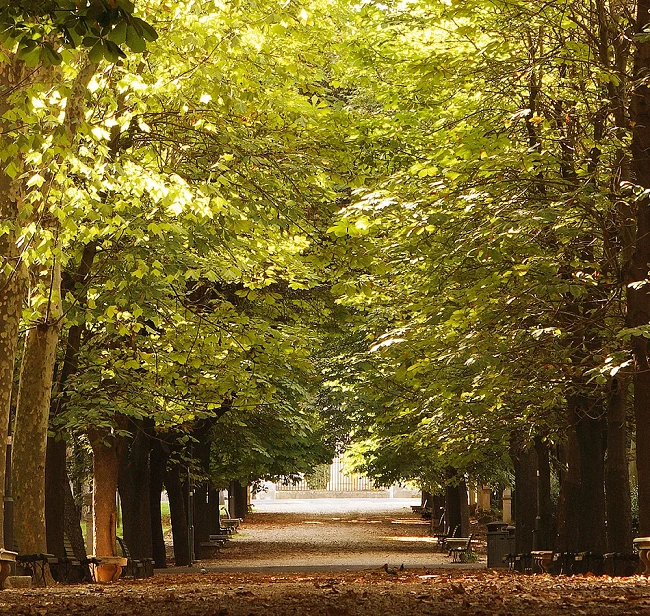 Обои ILLUSION DS 012