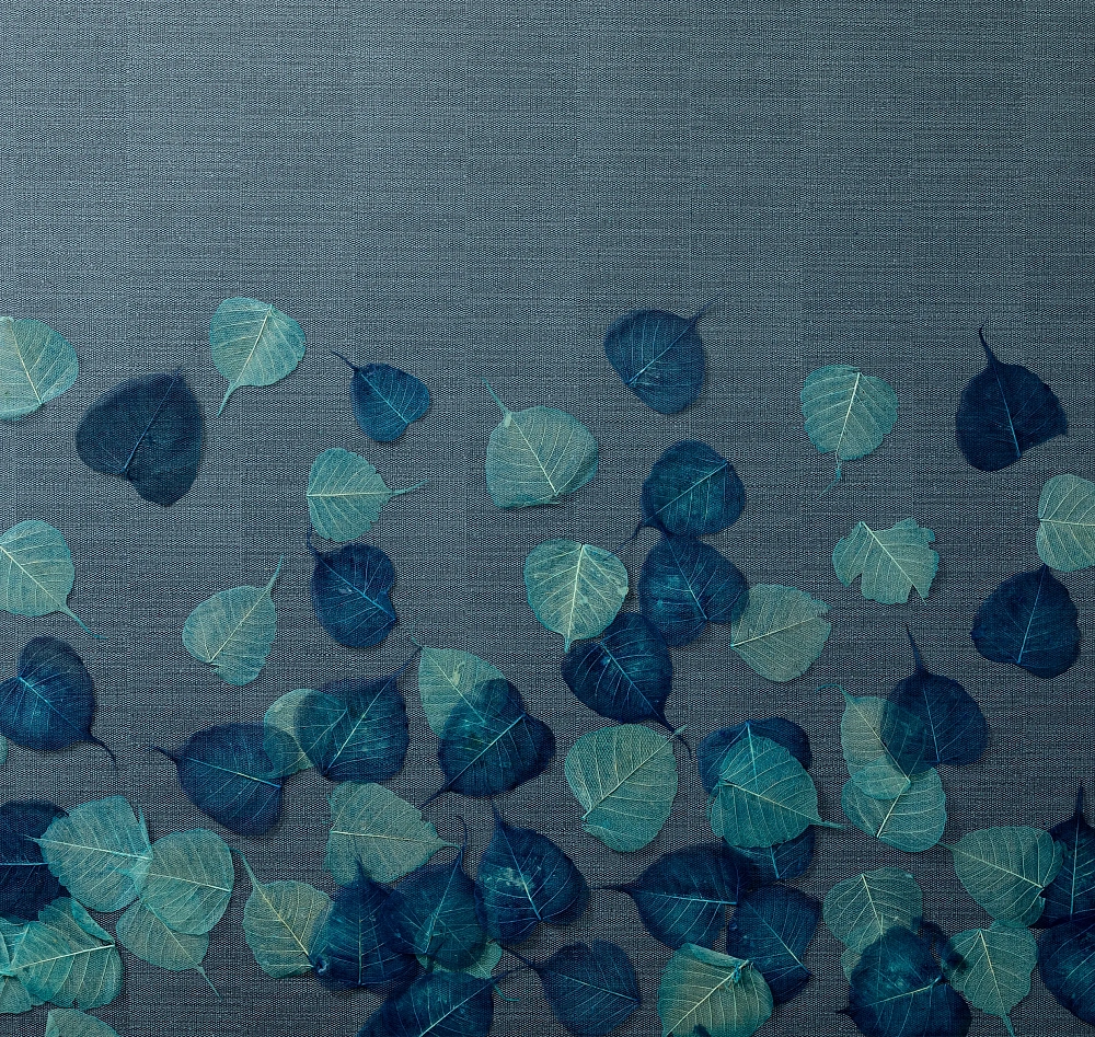 картинка Обои SDR2 010 от магазина Art Lab