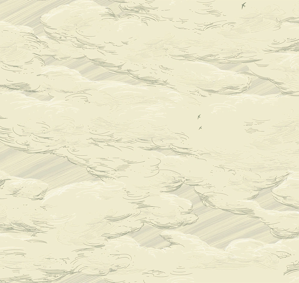 картинка Обои AM10 005 от магазина Art Lab