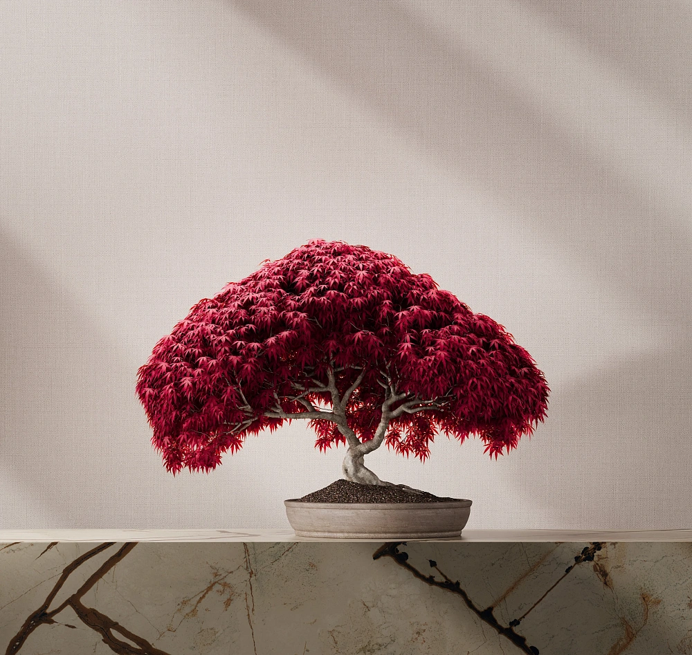 картинка Обои TXL5 020 от магазина Art Lab