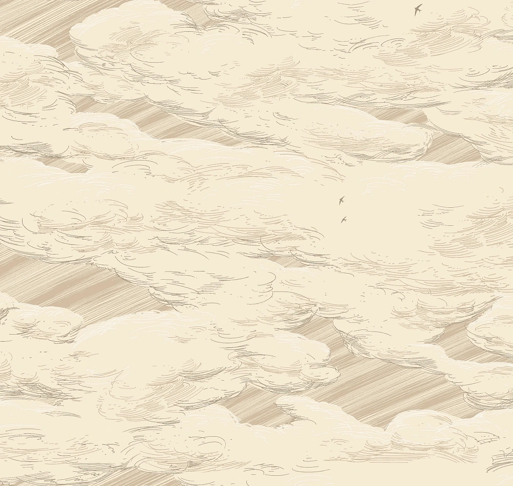 картинка Обои AM10 003 от магазина Art Lab