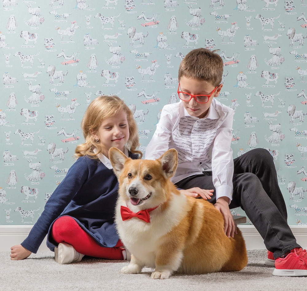 картинка Обои D6 001 от магазина Art Lab