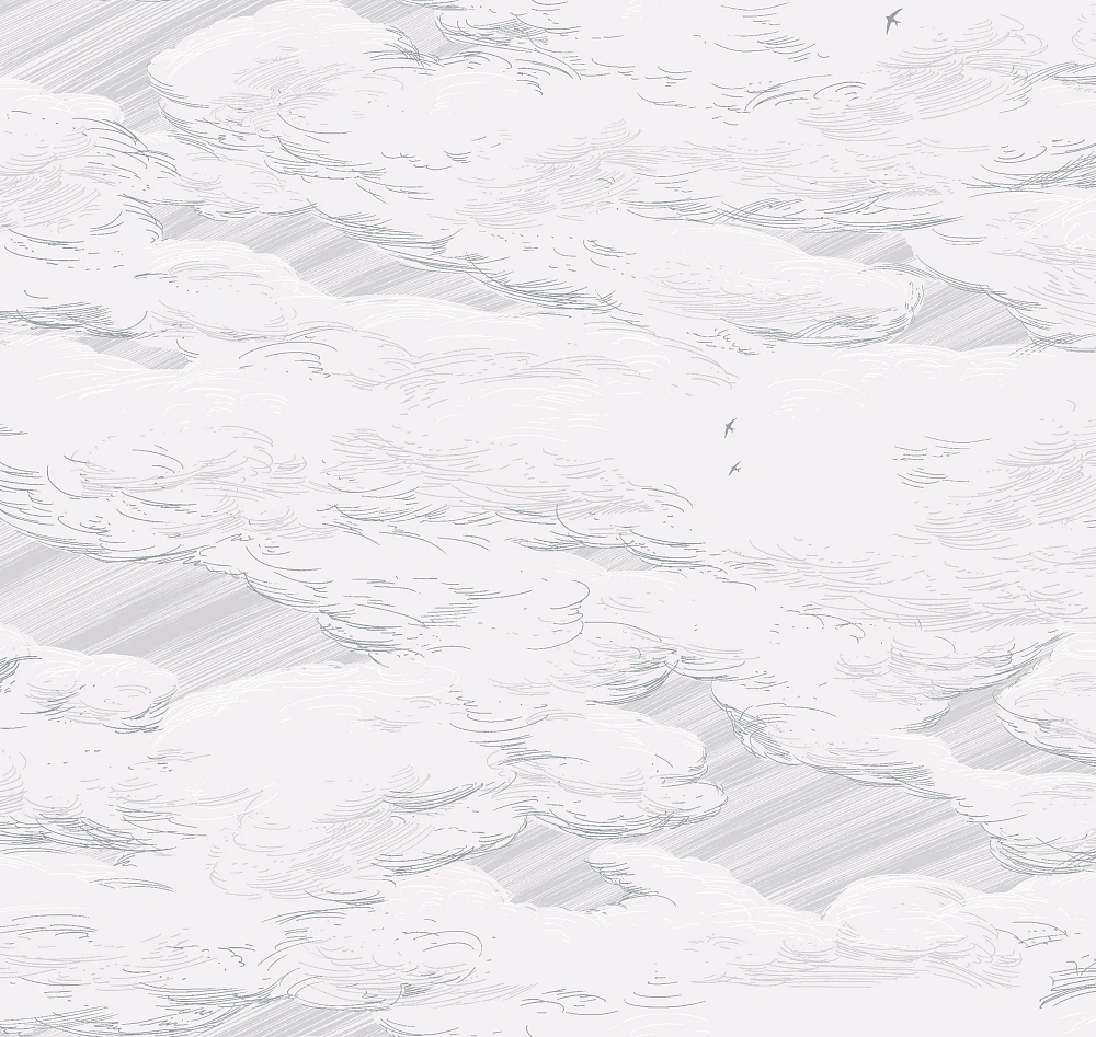 картинка Обои AM10 001 от магазина Art Lab