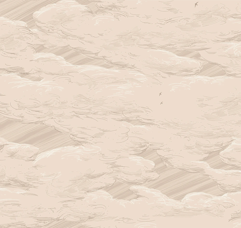 картинка Обои AM10 002 от магазина Art Lab