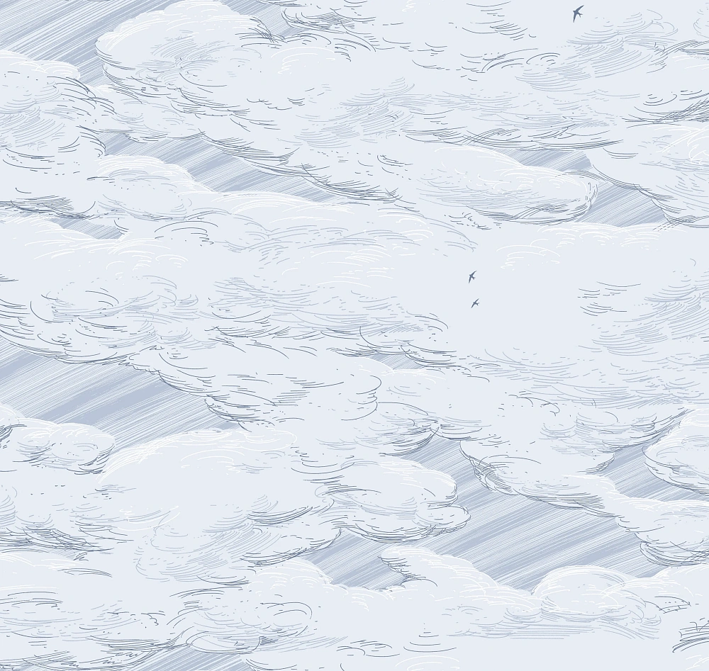 картинка Обои AM10 006 от магазина Art Lab