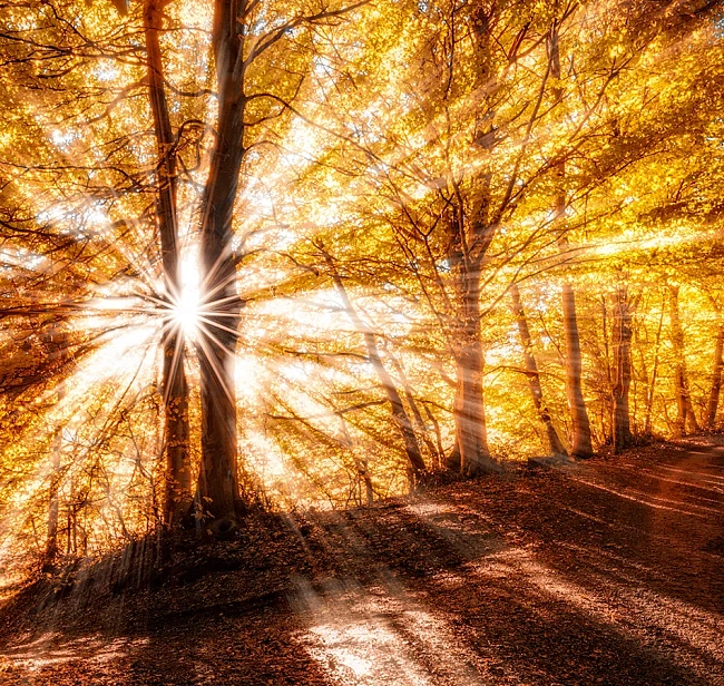 Обои ILLUSION DF 002