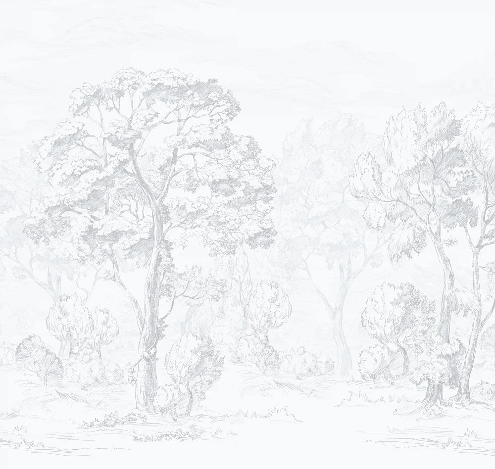 картинка Обои ETD9 011 от магазина Art Lab