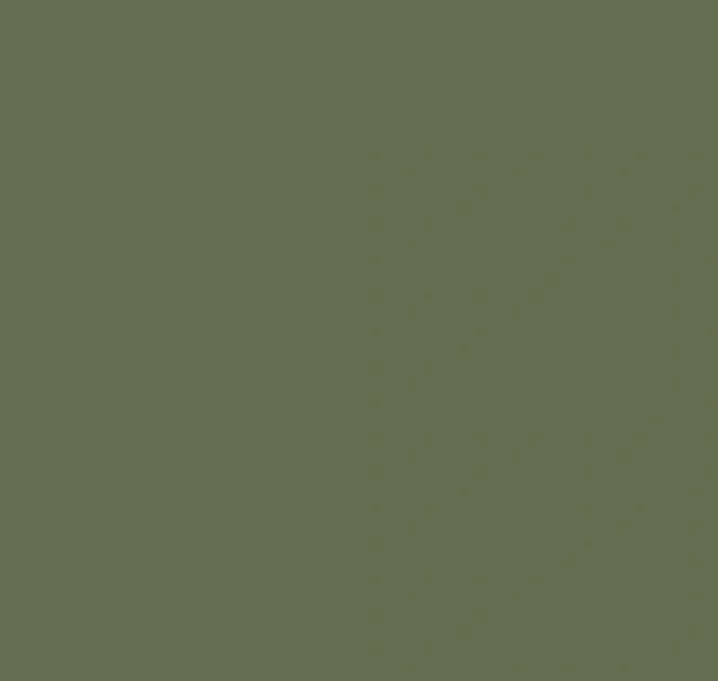 Обои Milassa Ambiplain 4 | Эмбиплейн 4 AM4 105/4