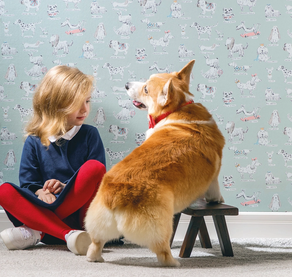 картинка Обои D6 001 от магазина Art Lab