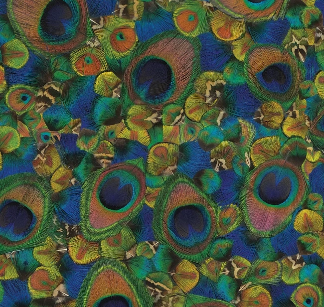 Обои ILLUSION DM 001